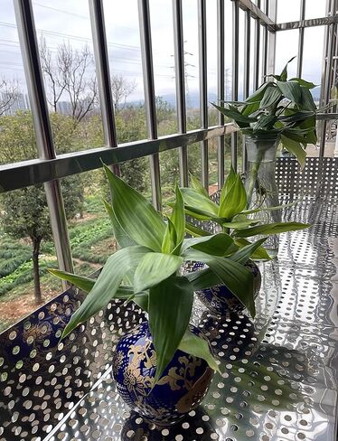 304 صفيحة شبكية معدنية موسعة من الفولاذ المقاوم للصدأ - ألواح مثقوبة ذات فتحات دائرية لتزيين وحماية درابزين الشرفة (75 × 100 سم) - تصميم متين ومتعدد الاستخدامات وأنيق in Kuwait