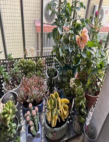 304 Stainless Steel Perforated Sheet - Decorative Metal Mesh Screen for Windowsills, Guardrails & Flower Stands - Durable, Rust-Resistant, 75x100cm in Kuwait