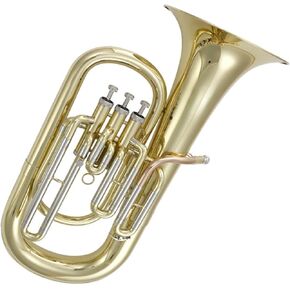 Beginner Tuba B Flat Euphonium for Practice Instrument in Kuwait