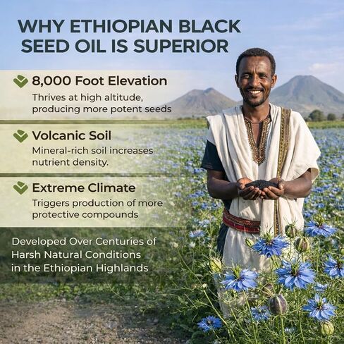 Ethiopian Black Seed Oil Softgels | Ethiopian Black Seed Oil Organic Cold Pressed | 4.64% Thymoquinone | Non-GMO, Gluten-Free,60 Capsules in Saudi Arabia