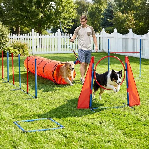 DWVO Dog Agility Accessories Kit: Comprises of a Teaser Pole, 2 Hurdles, 3 Flying Discs, 6 Weaving Poles, Agility Tunnel, Pause Box, Full Set of Agility Equipment for Backyard Indoors Outdoors in Saudi Arabia