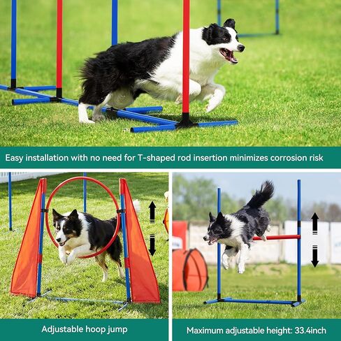 DWVO Dog Agility Accessories Kit: Comprises of a Teaser Pole, 2 Hurdles, 3 Flying Discs, 6 Weaving Poles, Agility Tunnel, Pause Box, Full Set of Agility Equipment for Backyard Indoors Outdoors in Saudi Arabia