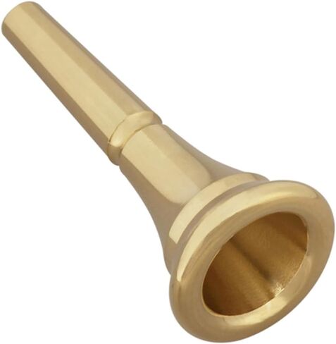 TIDTALEO Professional Pure Copper Horn Mouthpiece Replacement Gold French Horn Accessory for Beginners Brass Instrument Practice Part in Saudi Arabia