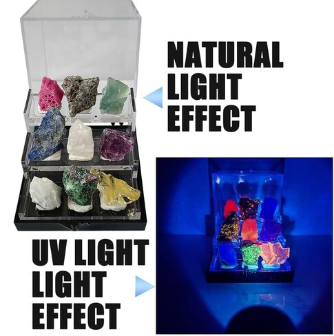 Fluorescent Mineral Specimens, Glowing Under UV, Rare Collectibles, 9 Glowing Rocks with Display Case in Saudi Arabia