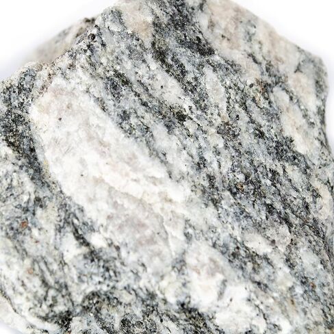 إيسكو - عينة صخرة النيس البيوتيت الخام حوالي 2.75 بوصة - الصخور المتحولة ذات الحبيبات الخشنة - عينة تعليمية جيولوجية لمختبرات علوم الأرض، وتحديد المعادن، ومجموعات الفصول الدراسية in Kuwait