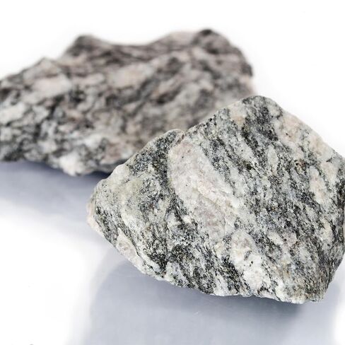 إيسكو - عينة صخرة النيس البيوتيت الخام حوالي 2.75 بوصة - الصخور المتحولة ذات الحبيبات الخشنة - عينة تعليمية جيولوجية لمختبرات علوم الأرض، وتحديد المعادن، ومجموعات الفصول الدراسية in Kuwait