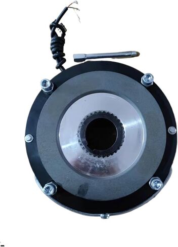 SDZ1-30 SDZ1-40 SDZ1-08 SDZ1-15 SDZ1-04 Electromagnetic Power-Fail Brake(SDZ1-04) in Saudi Arabia
