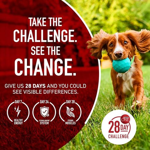 Purina One Plus كبير تولد الكلاب الكلاب الكلاب الجافة صيغة جافة - 31.1 رطل. in Kuwait