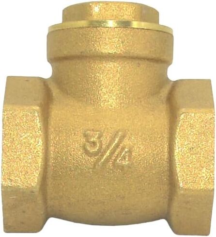 VARMHUS Brass Swing Check Valve,NPT Female x Female Thread Check Valve to Prevent Water Backflow (2'') in Kuwait