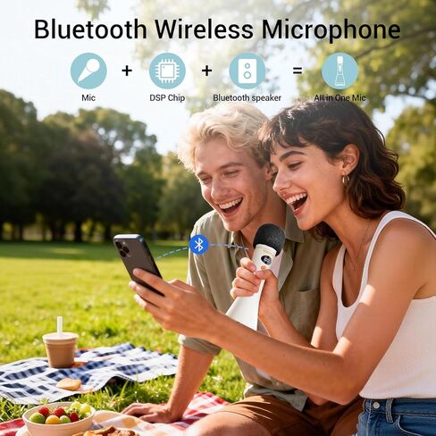 TAKSTAR 15W Bluetooth Microphone with Speaker, DA10 II Wireless Handheld Mic with LED Display, 4 Modes, Noise Canceling, Portable PA System for Teaching Singing Speaking Karaoke Wedding in Kuwait