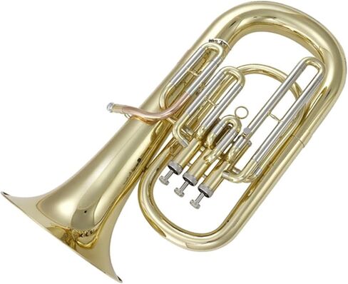 Beginner Tuba B Flat Euphonium for Practice Instrument in Kuwait