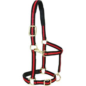 رسن حصان من النايلون مبطن وقابل للتعديل من جلد ويفر، أحمر، حصان صغير مقاس 2.54 سم in Kuwait