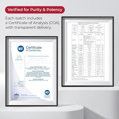 كمية تكفي لمدة 30 يومًا، بربارين 1600 مجم، بربارين مع قرفة سيلان لسكر الدم والكوليسترول والتمثيل الغذائي* | خالٍ من الغلوتين، وغير معدل وراثيًا، ومكمل نباتي بربارين | 60 كبسولة in Kuwait