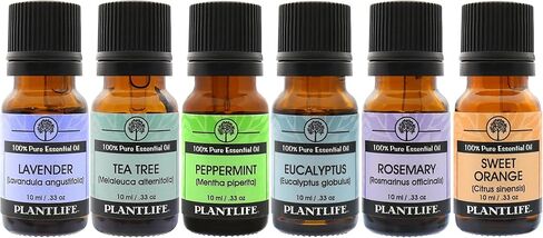 Plantlife Top Blends 6-Pack (Breathe Easy, Calm, Energy, Protect, Relax, and Sleep Tight) Aromatherapy Essential Oil Set - No Additives or Fillers - Made in California 10 ml in Saudi Arabia