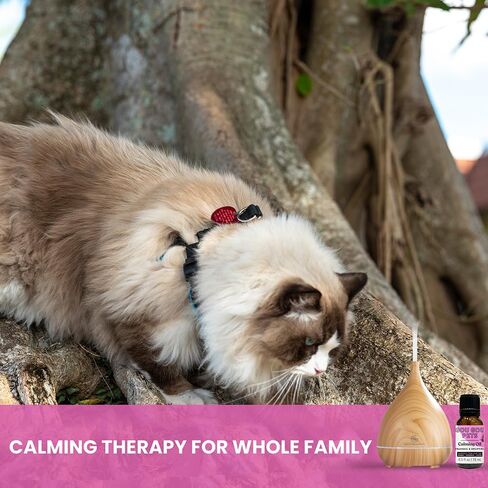 مجموعة زيوت عطرية شاملة ومشتقة من الطبيعة ومهدئة للحيوانات الأليفة وموزعة للقلق: استرخِ حيوانك الأليف بمكونات طبيعية ونظيفة مع توفير تخفيف التوتر - صنع في الولايات المتحدة الأمريكية - 15 مل in Kuwait