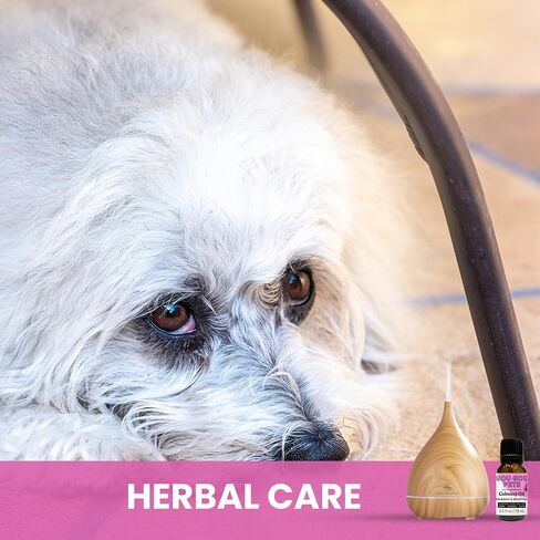 مجموعة زيوت عطرية شاملة ومشتقة من الطبيعة ومهدئة للحيوانات الأليفة وموزعة للقلق: استرخِ حيوانك الأليف بمكونات طبيعية ونظيفة مع توفير تخفيف التوتر - صنع في الولايات المتحدة الأمريكية - 15 مل in Kuwait