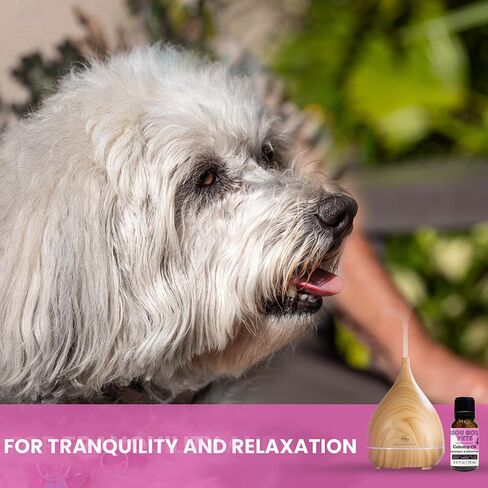 مجموعة زيوت عطرية شاملة ومشتقة من الطبيعة ومهدئة للحيوانات الأليفة وموزعة للقلق: استرخِ حيوانك الأليف بمكونات طبيعية ونظيفة مع توفير تخفيف التوتر - صنع في الولايات المتحدة الأمريكية - 15 مل in Kuwait