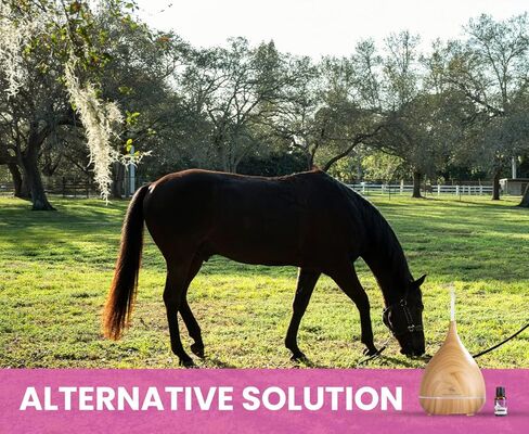 مجموعة زيوت عطرية شاملة ومشتقة من الطبيعة ومهدئة للحيوانات الأليفة وموزعة للقلق: استرخِ حيوانك الأليف بمكونات طبيعية ونظيفة مع توفير تخفيف التوتر - صنع في الولايات المتحدة الأمريكية - 15 مل in Kuwait