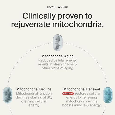 Timeline Mitopure Urolithin A Supplement Softgels - Clinically Proven Support for Healthy Aging and Cellular Renewal - Mitoceutical for Muscle Support and Longevity in Saudi Arabia