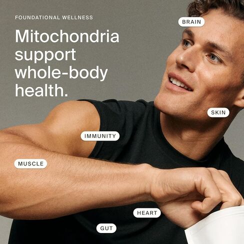 Timeline Mitopure Urolithin A Supplement Softgels - Clinically Proven Support for Healthy Aging and Cellular Renewal - Mitoceutical for Muscle Support and Longevity in Saudi Arabia