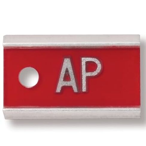 Word X-Ray Markers (Aluminum) - 8+ Characters, 3/8" Lead Letters/Numbers, Red in Saudi Arabia