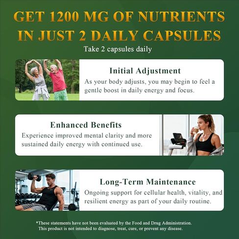 Liposomal NAD+ Supplement with Resveratrol, CoQ10 | Advanced Cellular Support, Nicotinamide Riboside NMN Replacement Premium Antioxidant & Energy in Saudi Arabia