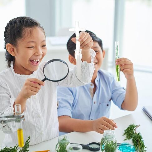 Holibanna 2ml High Temperature Resistant Glass Cell Tissue Homogenizer with Pestle for Laboratory Use, Science Experiment Glassware for Cell Grinding and Laboratory Equipment in Kuwait