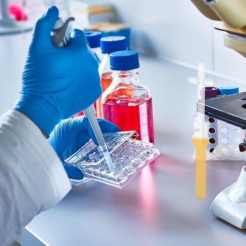 جهاز تجانس خلايا الأنسجة الزجاجية المعالج 2 مل ملاط ​​زجاجي مقاوم لدرجات الحرارة العالية وملحق مختبر للتجارب العلمية ومعدات التدريس in Kuwait