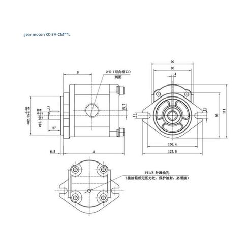 Hydraulic Gear Pump KC-3A-CM Forward and Reverse Low-Speed Motor(KC-3A-CM19L) in Saudi Arabia