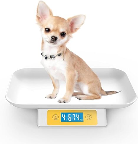 Puppy Scale for Whelping Dogs, Capacity up to 33lbs, Accuracy 1g/0.035oz, Unit g/kg/lb/oz/tl/ml, Yellow, Suitable for Kitten Puppy Rabbit Snake Cats and Small Dogs in Kuwait