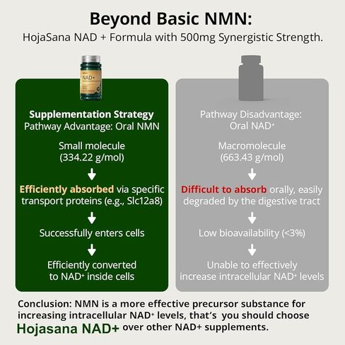 مكمل NAD مع ريسفيراترول - يدعم الطاقة الخلوية، ومكافحة الشيخوخة وإصلاح الحمض النووي - مكمل NAD المتقدم للنساء والرجال، غير معدل وراثيًا، كمية تكفي لمدة 30 يومًا in Kuwait