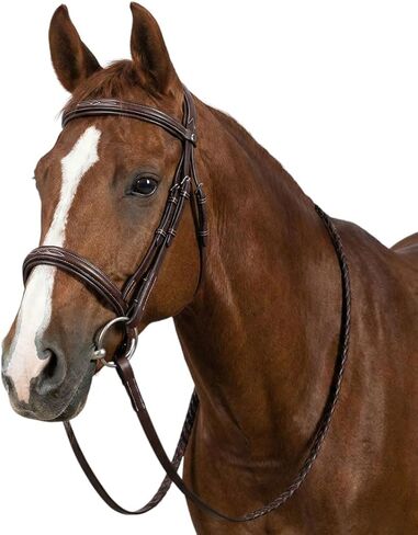 Henri de Rivel Pro Mono Crown Fancy Bridle with Patent Leather Piping and Laced Reins in Kuwait