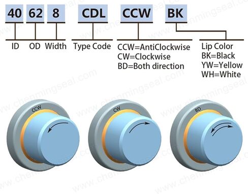 Oil Seal with Stainless Steel Housing Single Lip and Dual Lip Screw Air Compressor Spare Parts in Saudi Arabia
