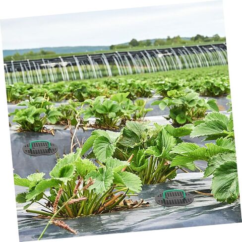 Sosoport 50pcs Galvanized Steel Wire U-Shaped Floor Nails Sturdy Garden Stakes for Orchards Greenhouses in Saudi Arabia