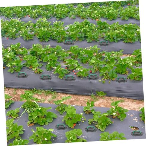 Sosoport 50pcs Galvanized Steel Wire U-Shaped Floor Nails Sturdy Garden Stakes for Orchards Greenhouses in Saudi Arabia