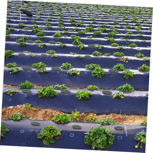 Sosoport 50pcs Galvanized Steel Wire U-Shaped Floor Nails Sturdy Garden Stakes for Orchards Greenhouses in Saudi Arabia