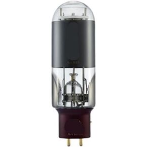 805 A805 Tube Upgrade 805DG 805-T 805A-TA E805A HiFi Audio Tube Amplifier kit DIY with Four-Way(2 pcs) in Saudi Arabia