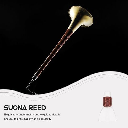 Ipetboom 10 Pcs Plastic Suona Reeds Small Size Musical Instrument Accessories Traditional Suona Parts for Folk Wind Instrument Players in Saudi Arabia