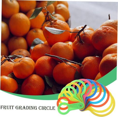 Zerodeko Plastic Fruit Diameter Gauge Set Adjustable Measuring Rings for Fruits Diameter Measuring Tool for Citrus and Oranges in Saudi Arabia
