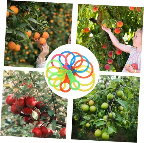 Zerodeko Plastic Fruit Diameter Gauge Set Adjustable Measuring Rings for Fruits Diameter Measuring Tool for Citrus and Oranges in Saudi Arabia