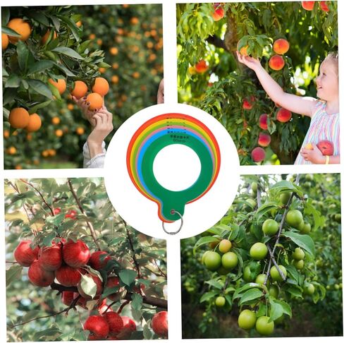 Cabilock Fruit Diameter Measuring Gauge Apple Measuring Tool with Precise Diameter Rings for Quick Grading of Fruits and Vegetables for Oranges and Apples in Saudi Arabia