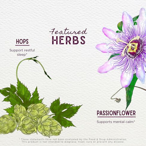 شراب مهدئ للسعال الخطير PM من WishGarden Herbs - مثبط السعال العشبي الطبيعي أثناء الليل للبالغين مع أوراق مولين تهدئ منعكس السعال، وتطبيع إنتاج المخاط، ويدعم النوم المريح، 4oz in Kuwait