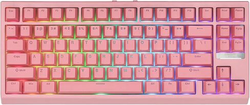 Epomaker G84 80 ٪ RGB لوحة مفاتيح ميكانيكية للألعاب ، 2.4 جيجا هرتز/Type-C/BT اللوحة اللاسلكية ، QMK/عبر برنامج NKRO قابل للبرمجة ، قابلة للتبديل ، مع تألق من خلال مفاتيح PBT للاعبين (أبيض ، مفتاح JADE الكريمي) in Saudi Arabia