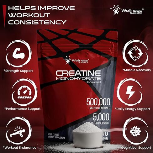 مسحوق الكرياتين مونوهيدرات من ويلنيس لابسركس 500 جرام - 100 حصة مكمل مسحوق الكرياتين المجهري، الكرياتين بدون نكهة للنساء والرجال، يدعم قوة العضلات والطاقة والقدرة على التحمل والتمرين in Kuwait