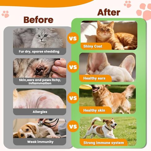 علاج عدوى الخميرة للكلاب والقطط غير الطبيعي إسقاط للجلد الحكة ، والآذان والفكين الاحمرار -الدعم in Kuwait