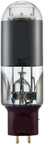 805 A805 أنبوب ترقية 805DG 805-T 805A-TA E805A HiFi الصوت مُضخّم صوت عدة لتقوم بها بنفسك مع أربعة اتجاهات (2 قطعة) in Saudi Arabia
