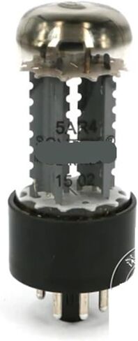 أنبوب 5AR4 يستبدل 5AR4/GZ34/5Z4P أنبوب فراغ مطابقة دقيقة لمكبرات الصوت (2 قطعة) in Saudi Arabia