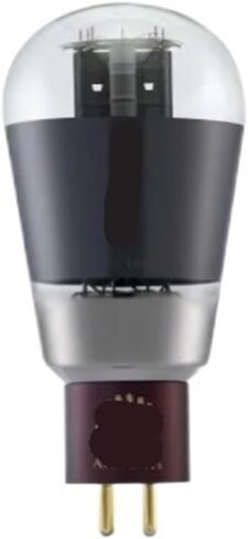 أنبوب 300B يستبدل WE300B 300BN 300BT 4300B 7300B 300A HiFi مُضخّم صوت الصوت (1 قطعة) in Saudi Arabia
