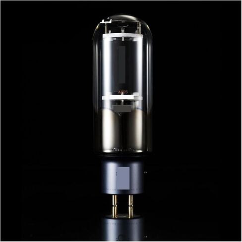 805 Tube Replacement 805 Vacuum Tube Precision Matched for Amplifier(2 pcs) in Saudi Arabia