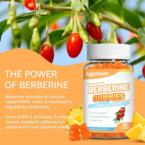 Berberine Gummies 1200mg, High Potency Berberine Supplement with Ceylon Cinnamon for Immune System & Metabolism Support, Sugar Free, Vegan, Pineapple Flavor, 60 Count in Saudi Arabia
